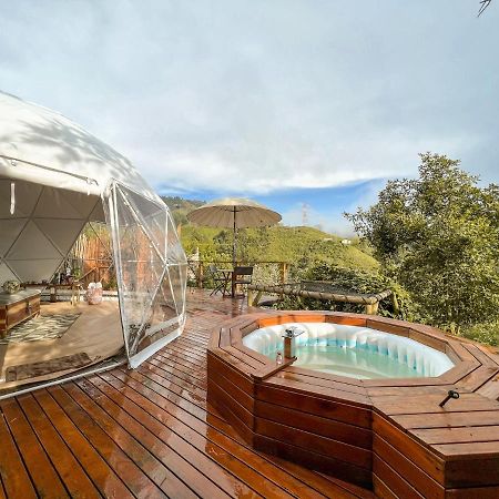 Nazca Glamping Hotell Villamaría Eksteriør bilde